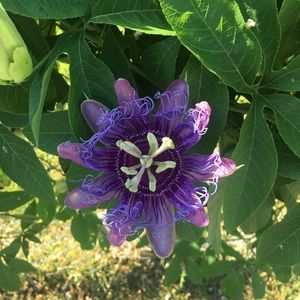 Meet your Posher, Tanya